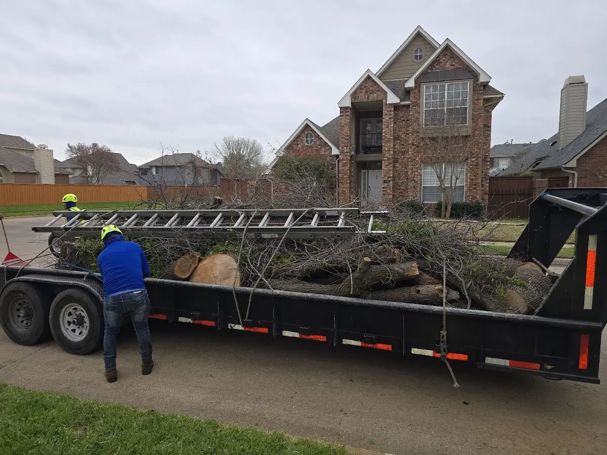 Expert Tree Pest Control with proper safety equipment in Stockton
